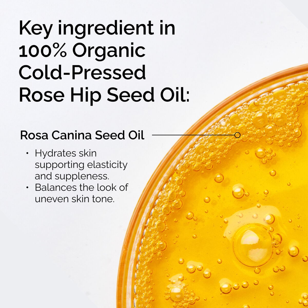 100-organic-cold-pressed-rose-hip-seed-oil-e8 FY25-D41247-ORD-Web-PDP-100-Rose-Hip-Oil-1x1-EN-2.jpg