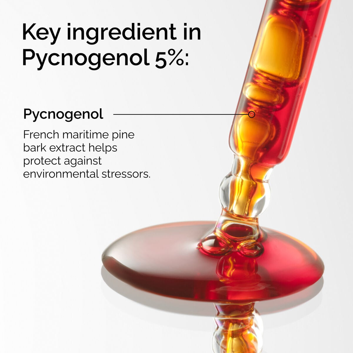 pycnogenol-5-q0 FY25-D41247-ORD-Web-PDP-Pyc-5pct-1x1-EN-2a.jpg
