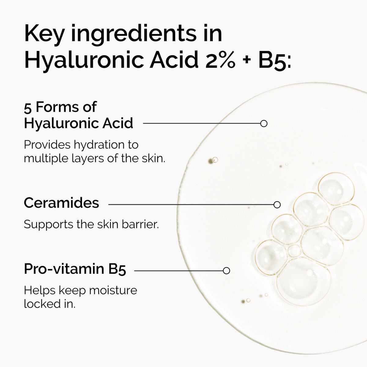 hyaluronic-acid-2-b5-with-ceramides-v4 ord-hyaluronic-acid-2pct-b5-hydrating-serum-ingredients-graphic.jpg