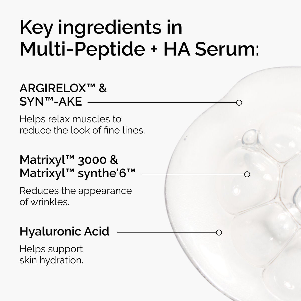 the-age-support-set-l1 ord-multi-peptide-ha-ingredients-graphic.jpg