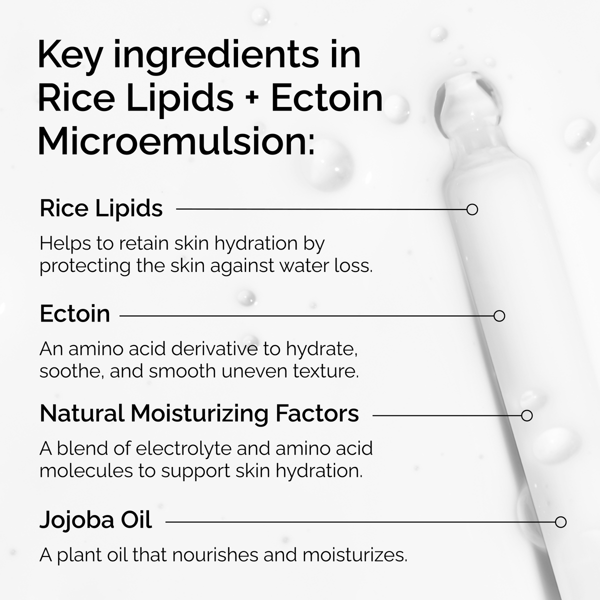 rice-lipids-ectoin-microemulsion-t0 ord-rice-lipids-ectoin-microemulsion-key-ingredients.png