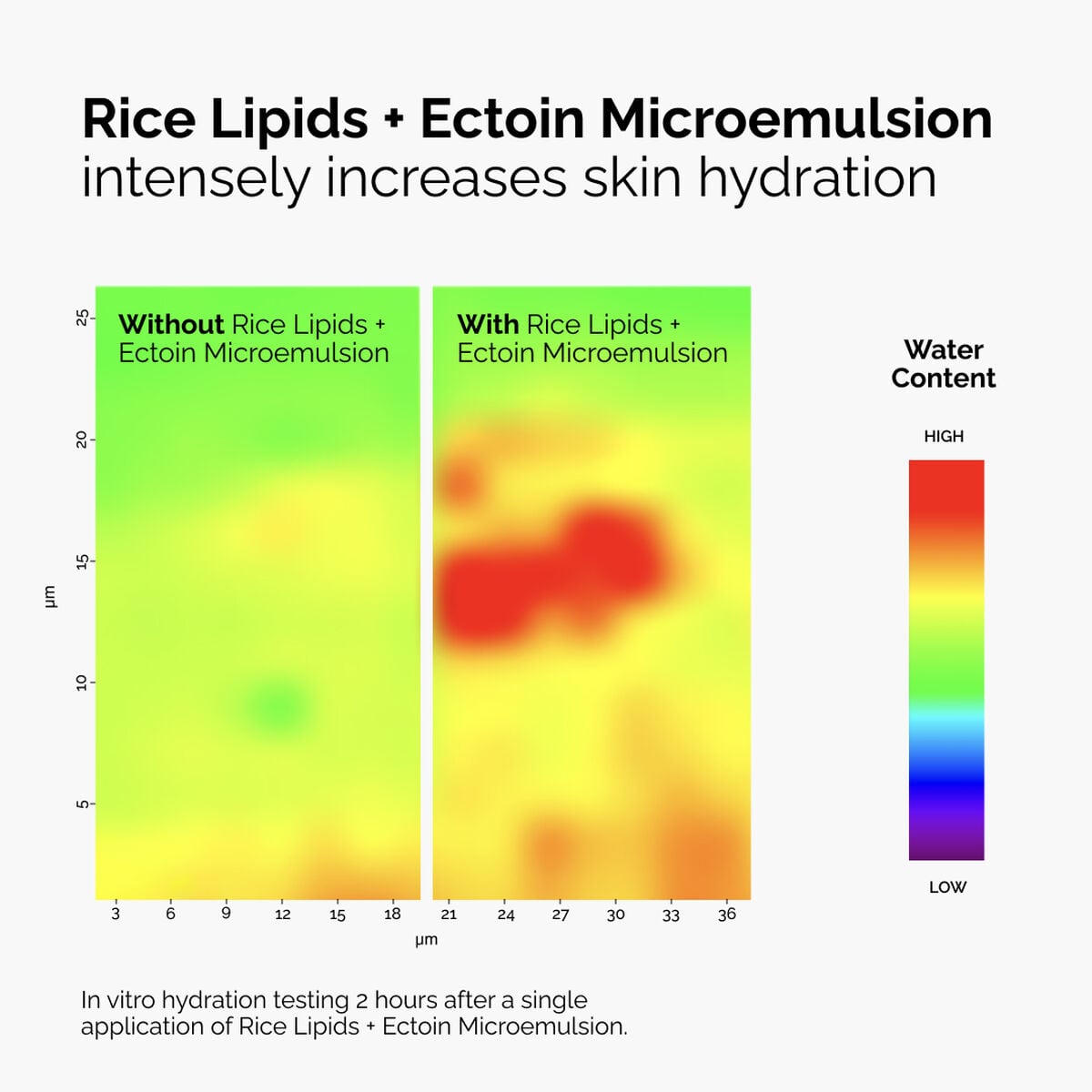 rice-lipids-ectoin-microemulsion-t0 ord-rice-lipids-ectoin-microemulsion-thermal-before-after.jpg